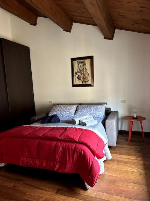 Apartament Casa Petrucci 2 Centro Storico Forlì Zewnętrze zdjęcie